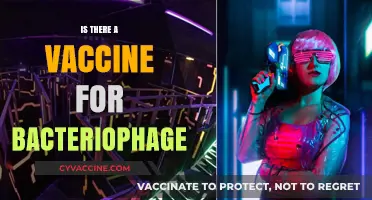 Exploring the Possibilities: Can We Vaccinate Against Bacteriophages?