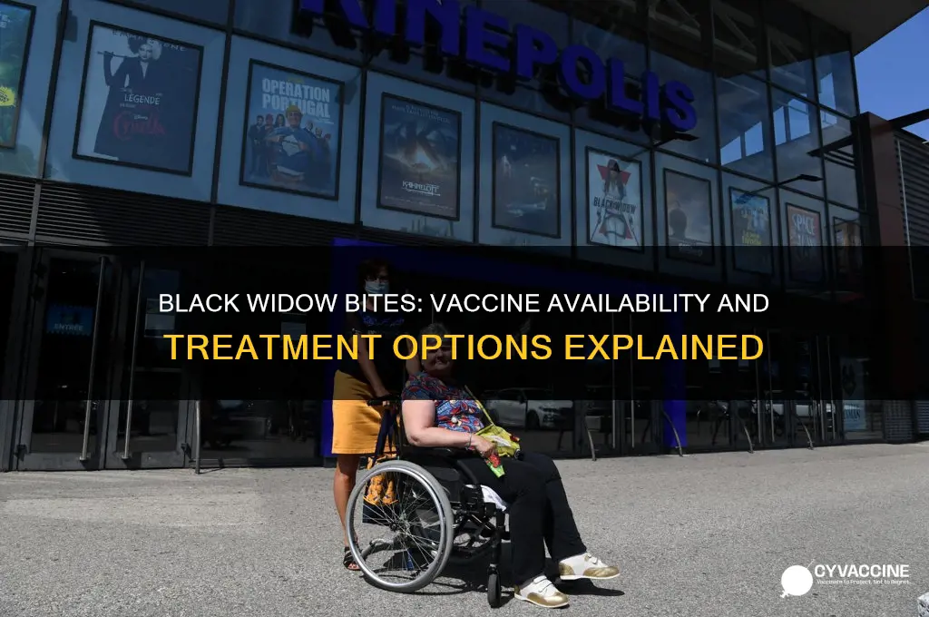 is there a vaccine for black widow bites