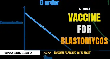 Exploring the Quest for a Blastomycosis Vaccine: Hope on the Horizon?