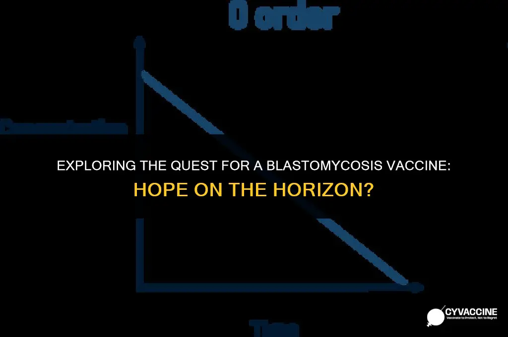 is there a vaccine for blastomycosis