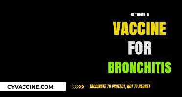 Bronchitis Vaccine: Fact or Fiction? Exploring Prevention Options