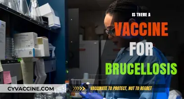 Exploring Brucellosis: The Quest for a Protective Vaccine