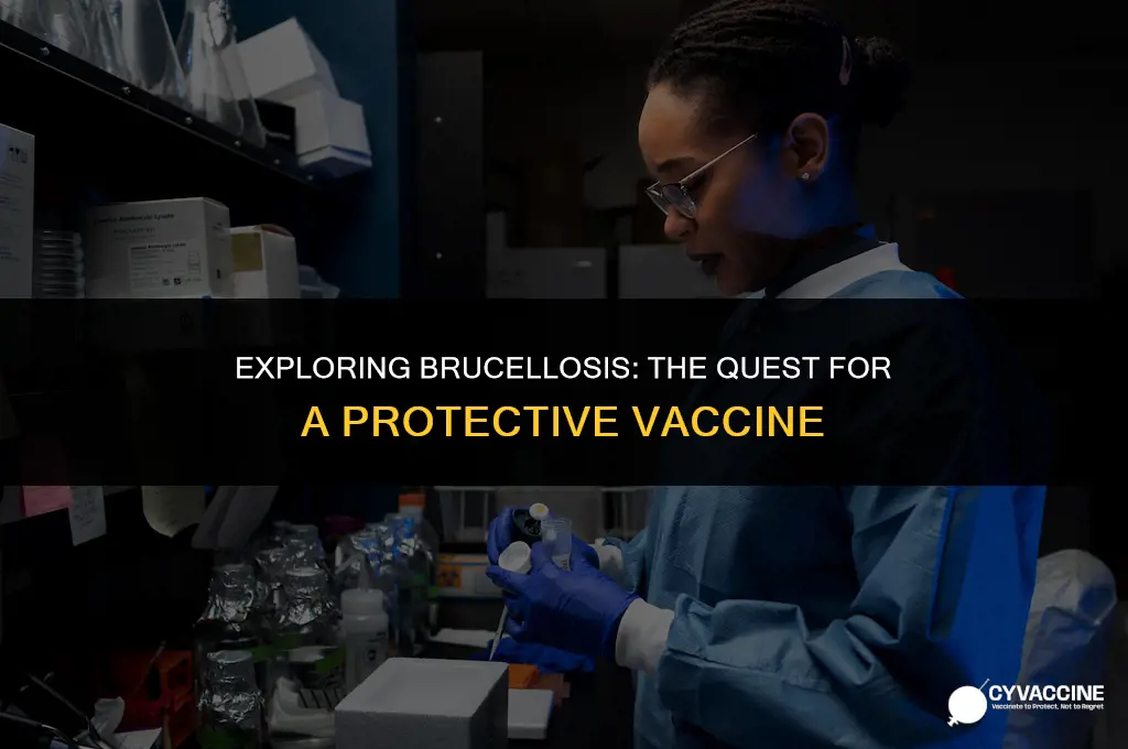 is there a vaccine for brucellosis