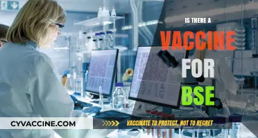 Exploring the Science: Is There a Vaccine for BSE?