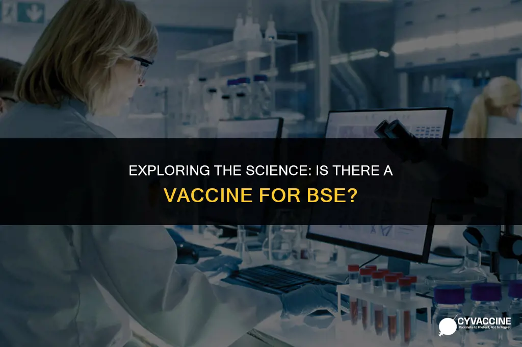 is there a vaccine for bse