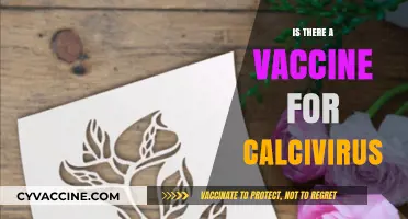 Exploring the Quest for a Calicivirus Vaccine: Facts and Hopes