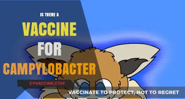 Exploring Campylobacter: The Quest for a Protective Vaccine