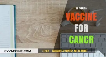 Exploring the Latest Advances in Cancer Vaccine Research