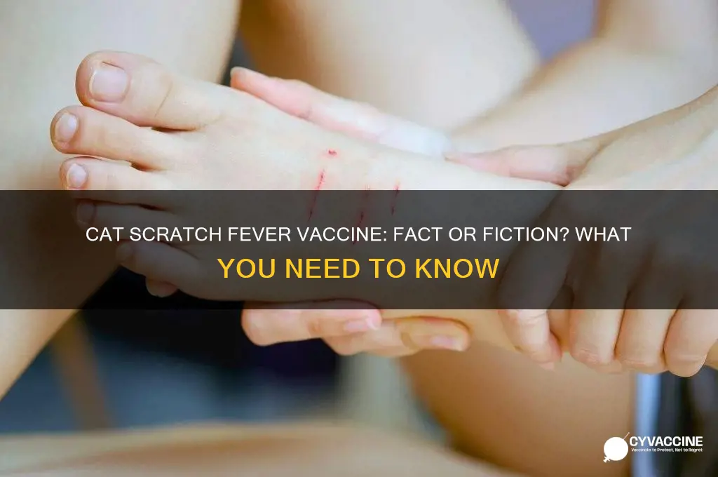 is there a vaccine for cat scratch fever