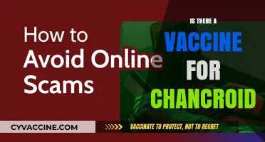 Exploring Chancroid: Vaccine Availability and Prevention Strategies
