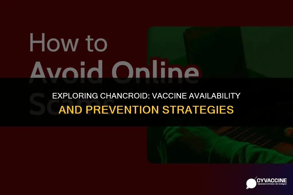 is there a vaccine for chancroid