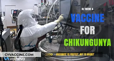 Exploring the Quest for a Chikungunya Vaccine: Hope on the Horizon?