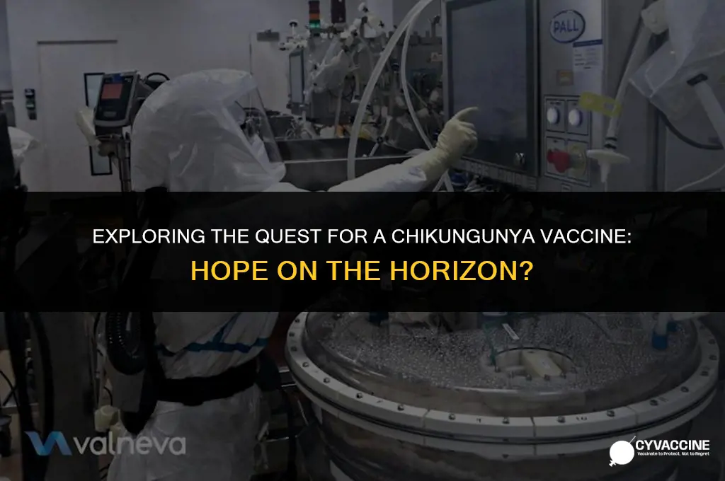is there a vaccine for chikungunya