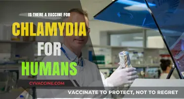 Chlamydia Vaccine for Humans: Current Research and Future Possibilities
