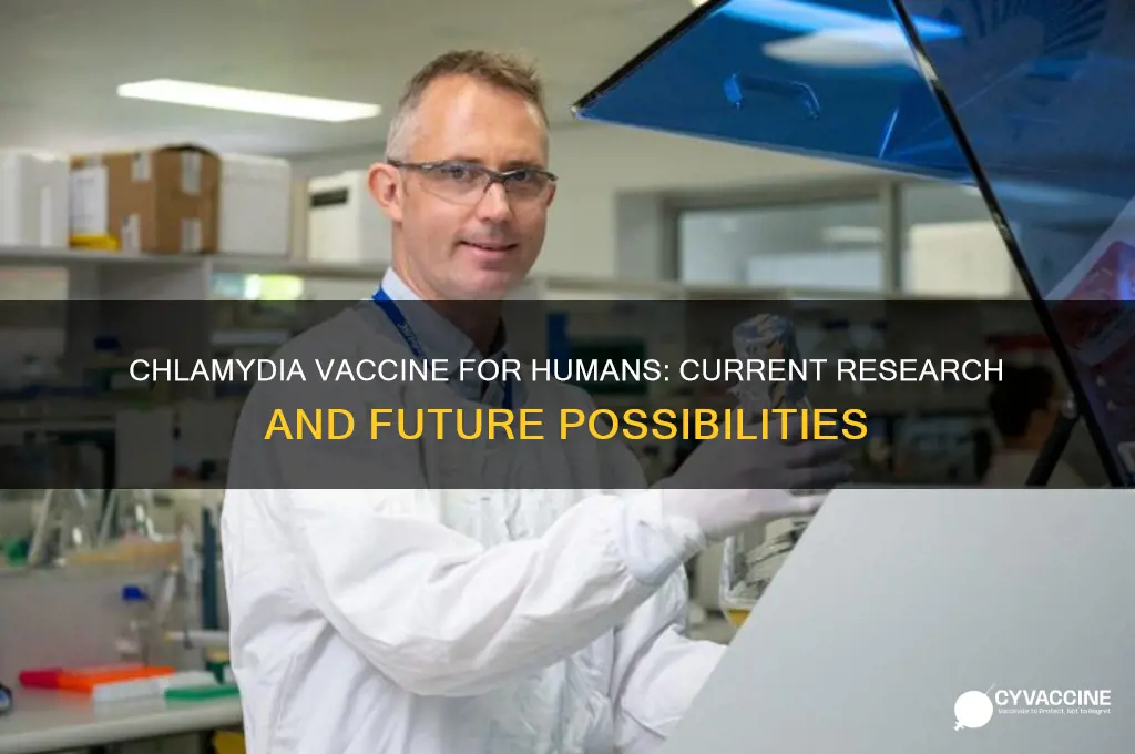 is there a vaccine for chlamydia for humans
