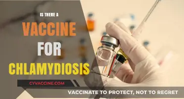Exploring the Quest for a Chlamydiosis Vaccine: Facts and Hopes
