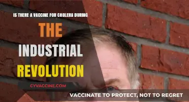 Cholera's Grip: Vaccine Development During the Industrial Revolution