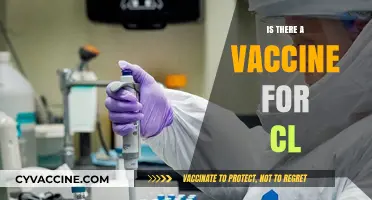 Exploring the Latest on CL Vaccines: Facts and Myths Debunked