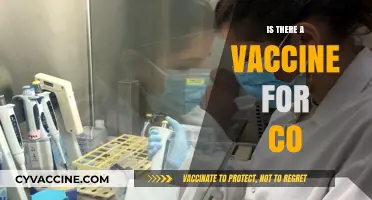 Exploring the Latest on CO Vaccine Development: A Comprehensive Update