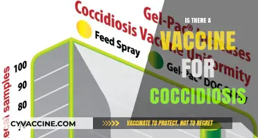 Exploring Coccidiosis: Vaccine Availability and Prevention Strategies