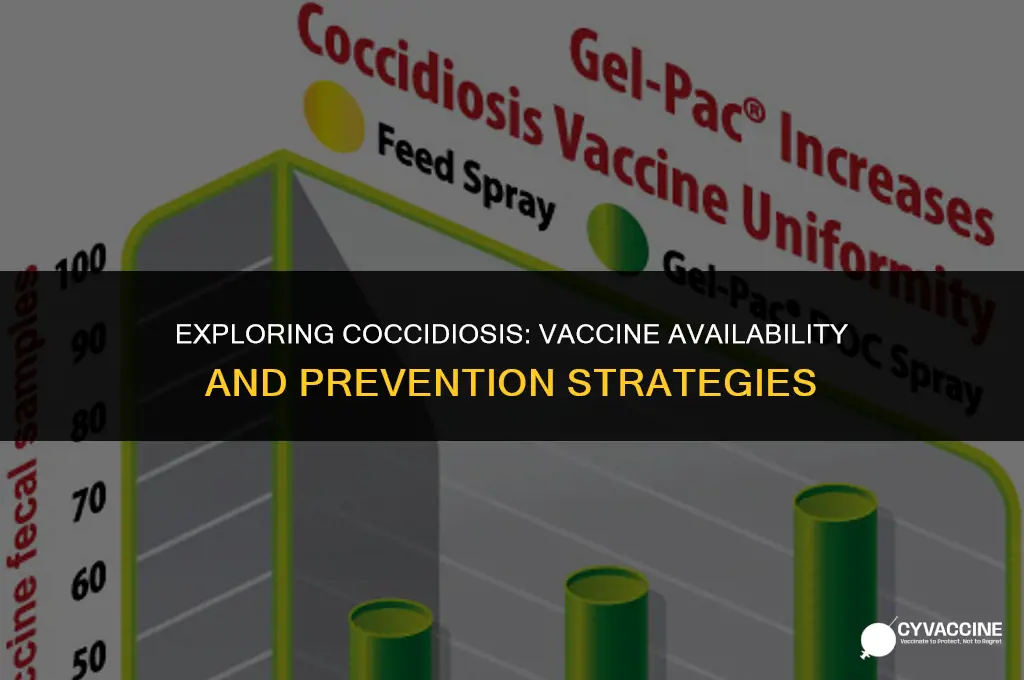 is there a vaccine for coccidiosis