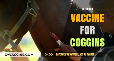 Exploring the Quest for a Coggins Disease Vaccine: Hope or Hype?