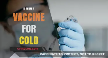 Exploring the Elusive Cold Vaccine: Facts, Myths, and Future Prospects