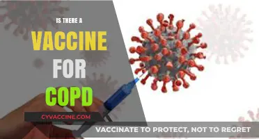 Exploring COPD Vaccine Options: Facts, Myths, and Future Prospects