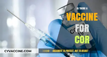 Exploring the Latest on COVID-19 Vaccines: Facts and Myths