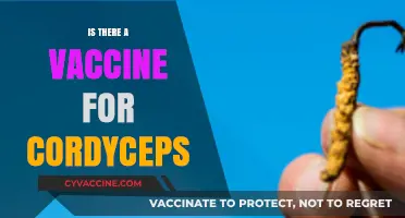 Exploring the Truth: Is There a Vaccine for Cordyceps?