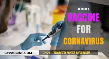 Exploring the Quest for a Coronavirus Vaccine: Facts and Myths