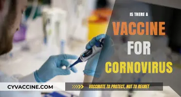 Exploring the Quest for a Coronavirus Vaccine: Facts and Progress