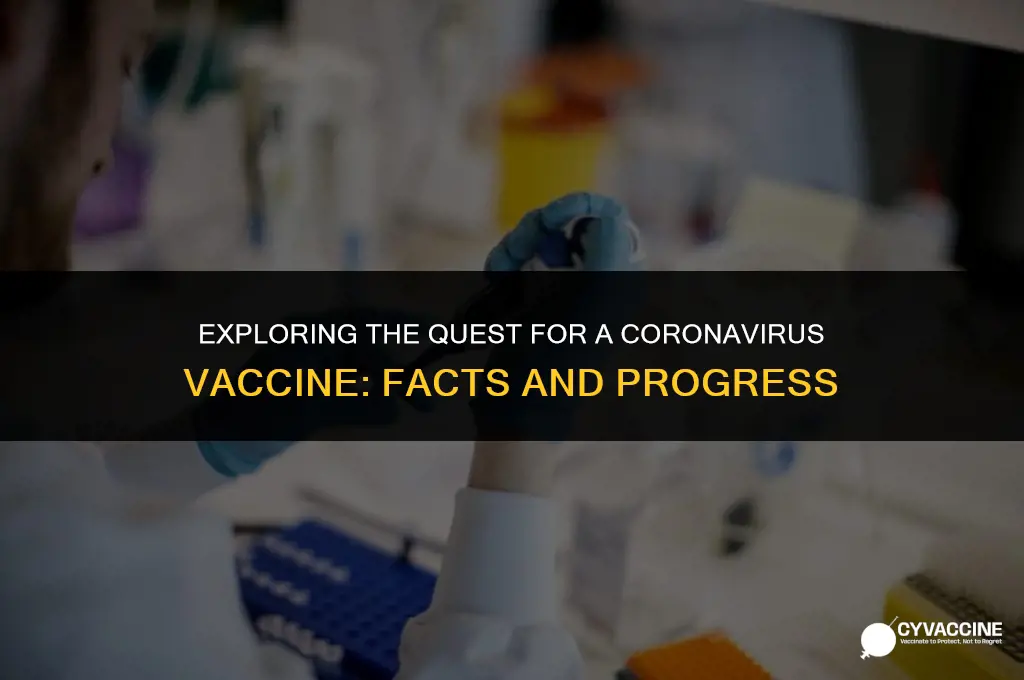 is there a vaccine for cornovirus