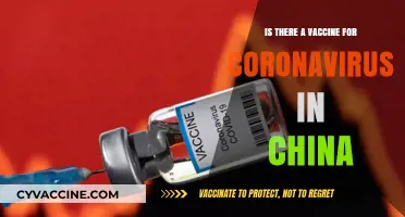 China's COVID-19 Vaccine Development: Progress, Availability, and Effectiveness
