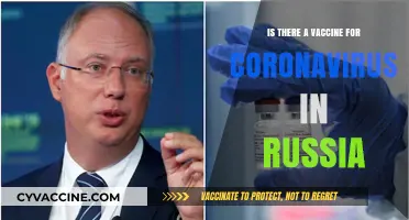 Russia's COVID-19 Vaccine: Development, Availability, and Effectiveness Explained