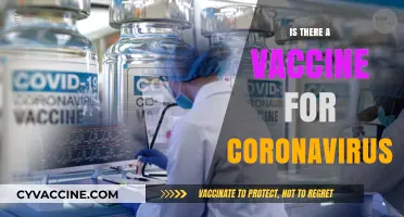 Is There a Coronavirus Vaccine? Facts, Updates, and What You Need to Know
