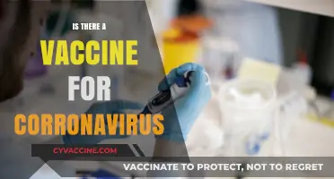 Exploring the Latest: Is There a Vaccine for Coronavirus?
