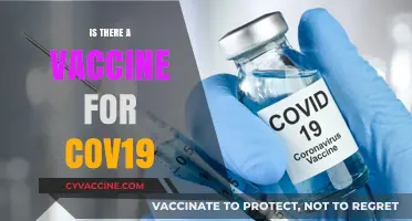 Exploring the Latest on COVID-19 Vaccines: Facts and Updates