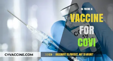 Exploring the Latest on COVID-19 Vaccines: Facts and Myths