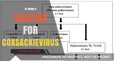 Exploring the Search for a Coxsackievirus Vaccine: Facts and Progress