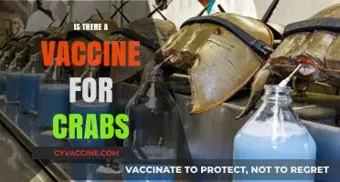 Exploring the Possibility: Can Crabs Be Vaccinated?