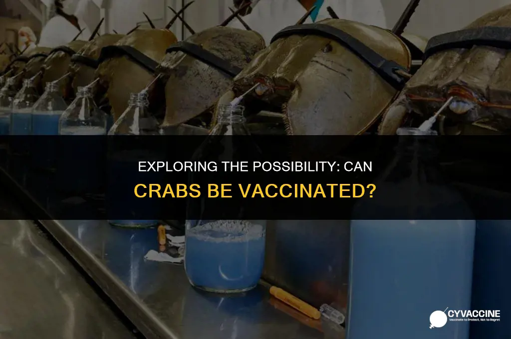 is there a vaccine for crabs