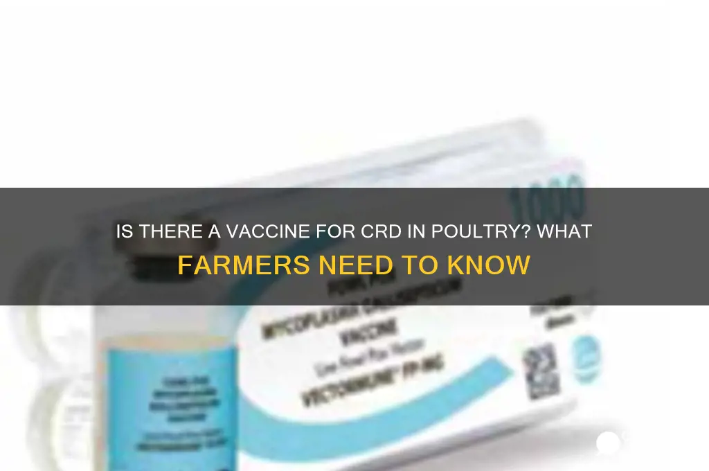 is there a vaccine for crd in poultry