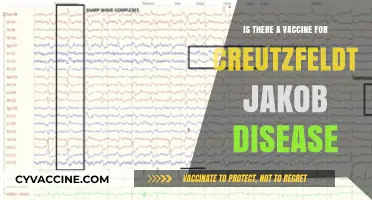 Exploring the Possibility of a Creutzfeldt-Jakob Disease Vaccine