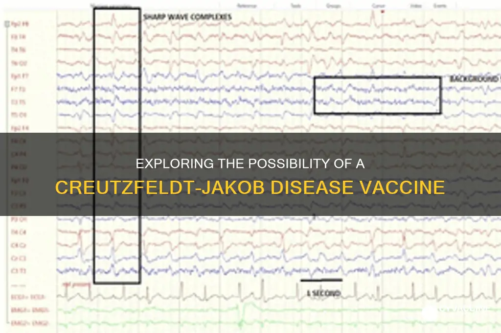 is there a vaccine for creutzfeldt jakob disease