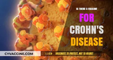 Exploring the Latest Research: Is a Crohn's Disease Vaccine Possible?