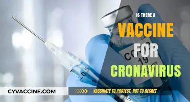 Exploring the Latest on COVID-19 Vaccines: Facts and Updates