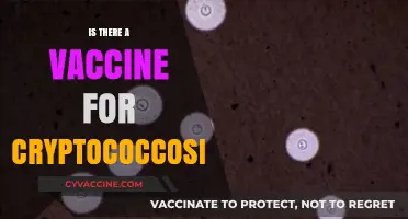 Exploring the Quest for a Cryptococcosis Vaccine: Hope on the Horizon?