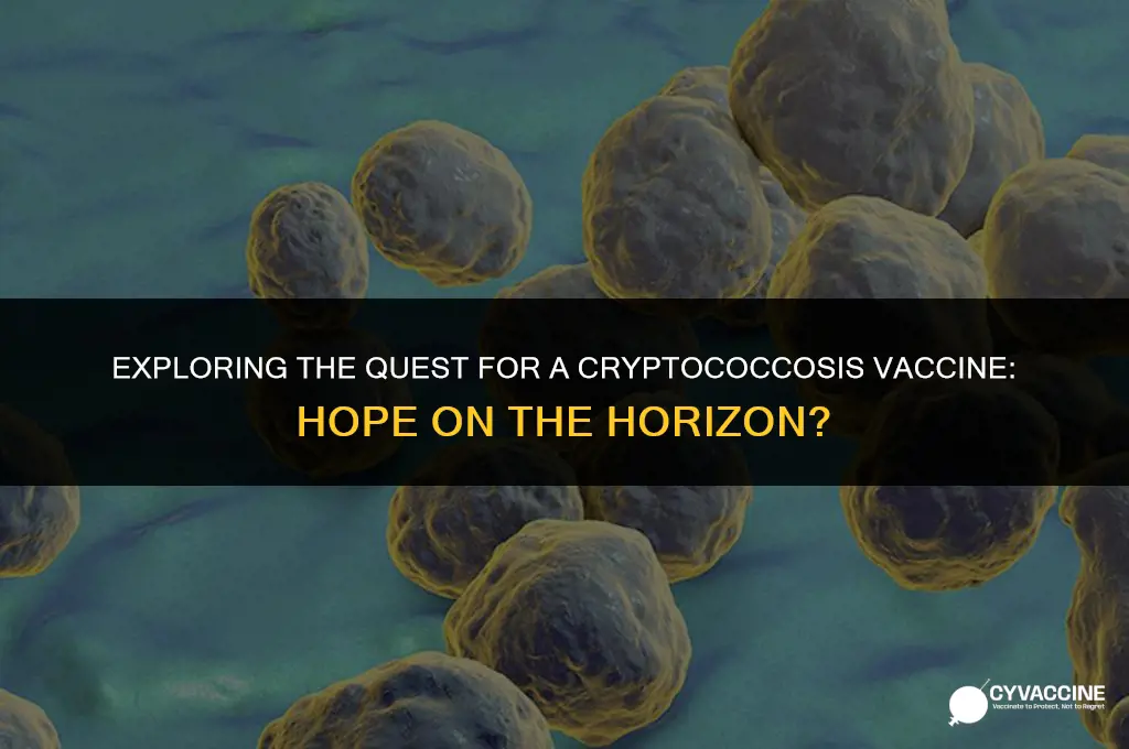is there a vaccine for cryptococcosis