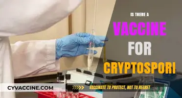 Exploring the Quest for a Cryptosporidiosis Vaccine: Facts and Hopes